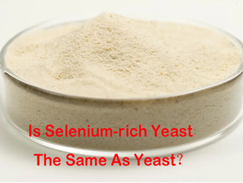 Is Selenium-Rich Yeast The Same As Yeast？